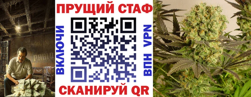Где купить наркотики Называевск Псилоцибиновые грибы  A PVP  Марихуана  Меф мяу мяу  Cocaine 