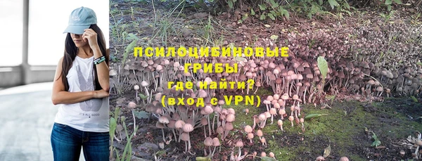 прущая мука Ладушкин