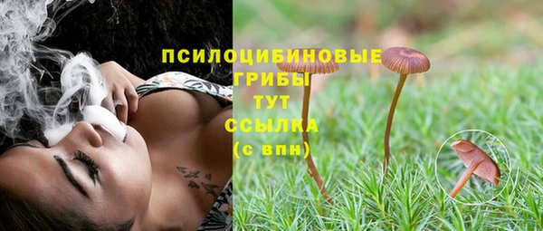 мяу мяу мука Кулебаки