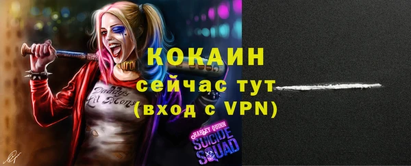 сатива Лагань