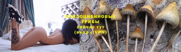 прущая мука Лабытнанги