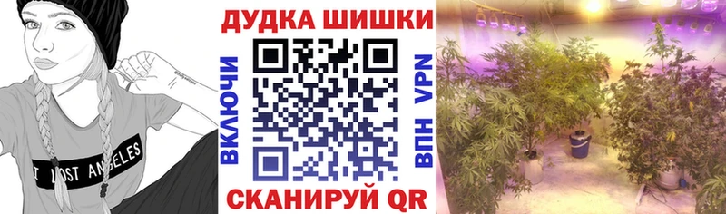 наркошоп Называевск Канабис SATIVA & INDICA